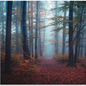 Artland Wandbild Wald im Nebel, Waldbilder (1 St), als Alubild, Leinwandbild, Wandaufkleber oder Poster in versch. Größen