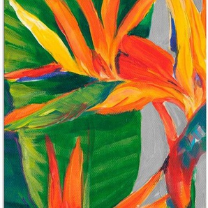 Artland Wandbild Paradiesvogel II, Pflanzen (1 St), als Alubild, Leinwandbild, Wandaufkleber oder Poster in versch. Größen
