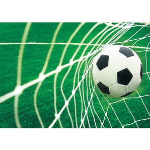Fototapete Fussball Netz Wiese  no. 272 | Fototapete Vlies - PREMIUM PLUS HiQ | 400x280 cm
