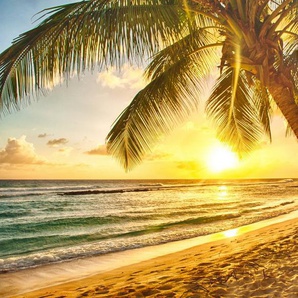 Papermoon Fototapete Barbados Palm Beach, glatt