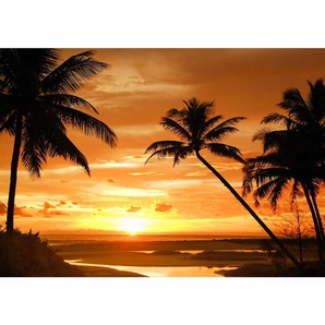 Fototapete Sonnenuntergang Palmen Strand Meer Horizont  no. 2590 | Fototapete Vlies - PREMIUM PLUS | 104x70.5 cm