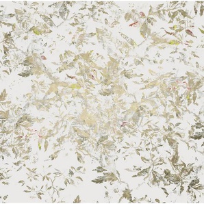 Fototapete , Weiß, Gold , Federn , 400x280 cm , Tapeten Shop, Fototapeten