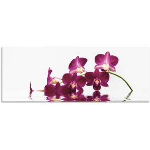 Küchenrückwand ARTLAND Phalaenopsis Orchidee Spritzschutzwände Gr. B/H: 150 cmx55 cm, lila Küchenaccessoires Spritzschutzwände Alu Spritzschutz mit Klebeband, einfache Montage