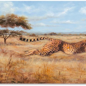 Artland Wandbild Laufender Gepard, Wildtiere (1 St), als Alubild, Leinwandbild, Wandaufkleber oder Poster in versch. Größen