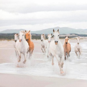 Komar Fototapete White Horses, glatt, Meer, bedruckt, (Set), ausgezeichnet lichtbeständig