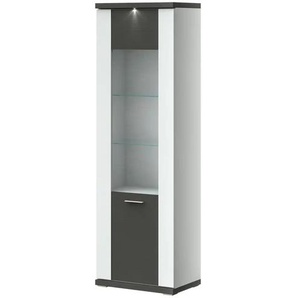 Primo Vitrine   Titan - grau - 66 cm - 207 cm - 42 cm | Möbel Kraft