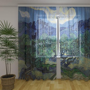 Gardinen & Vorhänge aus Chiffon transparent. Fotogardinen 3D Vincent van Gogh The Olive Trees