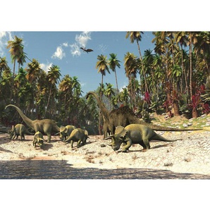 Fototapete Dinosaurier Strand Palmen Animation  no. 447 | Fototapete Papier - PREMIUM Blue Back | 368x254cm