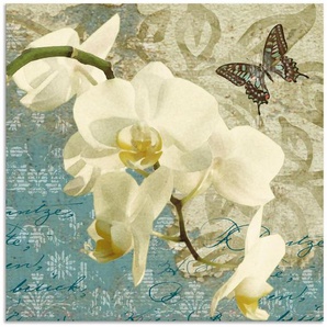 Artland Wandbild Orchideen, Blumen (1 St), als Alubild, Leinwandbild, Wandaufkleber oder Poster in versch. Größen