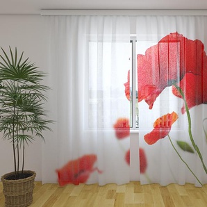 Gardinen & Vorhänge aus Chiffon transparent. Fotogardinen 3D Red and White