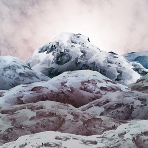 Komar Fototapete Vliestapete Shadow Mountain, glatt, bedruckt, floral, geblümt, realistisch, 300 x 280 cm