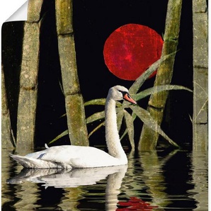 Artland Wandbild Blutmond über dem Schwanensee, Schwanen Bilder (1 St), als Alubild, Leinwandbild, Wandaufkleber oder Poster in versch. Größen