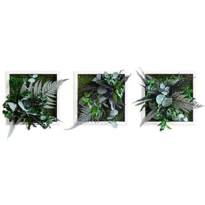 styleGREEN Pflanzenbild im Dschungeldesign 22x22cm 3er Set