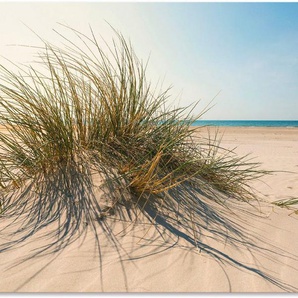 Artland Wandbild Strandgras, Küste (1 St), als Alubild, Leinwandbild, Wandaufkleber oder Poster in versch. Größen