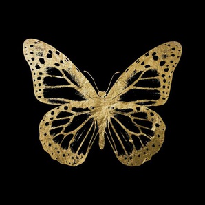 Acrylglasbild LEONIQUE Schmetterling Bilder Gr. B/H/T: 100 cm x 100 cm x 2,4 cm, Acrylglasbild, goldfarben (schwarz goldfarben) Bilder
