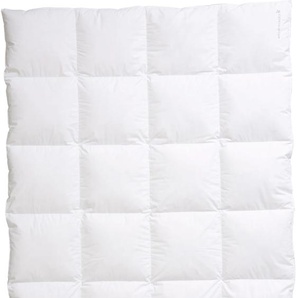 Daunenbettdecke CENTA-STAR Nordic Bettdecken B/L: 155 cm x 220 cm, extrawarm, weiß Allergiker Bettdecke hochwertiges Naturprodukt mit hervorragendem Wärmevermögen