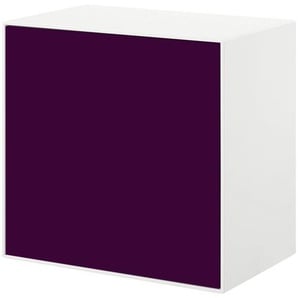 now! by hülsta Hänge-Designbox  now! easy ¦ lila/violett