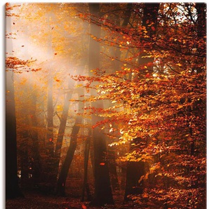 Wandbild ARTLAND Sonnenaufgang im Herbst Bilder Gr. B/H: 80 cm x 120 cm, Leinwandbild, goldfarben Bild Kunstdruck Bilder als Alubild, Leinwandbild, Wandaufkleber oder Poster in versch. Größen