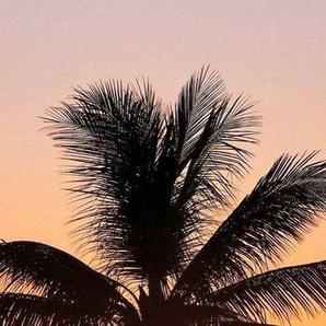 Komar Vliestapete Hawaii, glatt