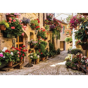 Fototapete Frankreich Gasse Idylle Blumen Blumenkasten Häuser  no. 1462 | Fototapete Vlies - PREMIUM PLUS | 104x70.5 cm