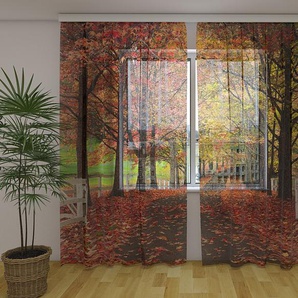 Gardinen & Vorhänge aus Chiffon transparent. Fotogardinen 3D Red Fall