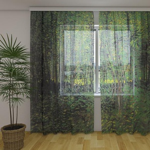 Gardinen & Vorhänge aus Chiffon transparent. Fotogardinen 3D Vincent van Gogh Trees and Undergrowth