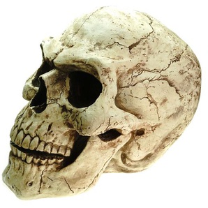 XXL Outdoor Totenschädel 47 cm Figur Statue Garten Totenkopf Schädel Skull für aussen