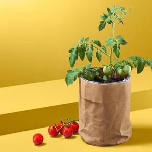 Tomaten-Saatgut im Papierbeutel - Naturfarben -