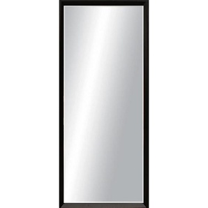 Xora Wandspiegel , Glas , rechteckig , 67x167x3 cm , senkrecht und waagrecht montierbar , Schlafzimmer, Spiegel, Wandspiegel