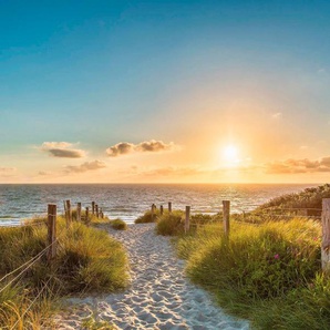 living walls Fototapete Strand Dünen Sonnenuntergang, glatt, Dünen Tapete Strand Fototapete 3,36m x 2,60m Blau Beige Grün