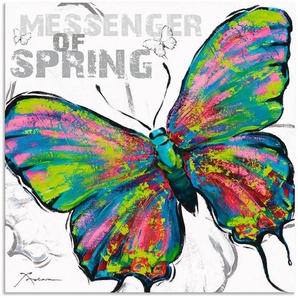 Artland Wandbild Frühlingsbote, Insekten (1 St), als Alubild, Leinwandbild, Wandaufkleber oder Poster in versch. Größen
