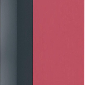 Midischrank MARLIN 3040 Schränke Gr. B/H/T: 40 cm x 148,8 cm x 35 cm, links, 2 St., rot Bad-Midischränke Badmöbelserien Breite 40 cm