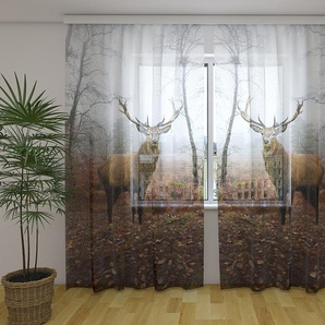 Gardinen & Vorhänge aus Chiffon transparent. Fotogardinen 3D  Deer in the Forest