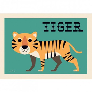 Kinderposter curious tiger, 50 x 70 cm, Ingela P. Arrhenius für OMM Design
