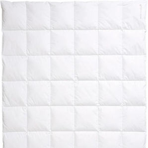 Daunenbettdecke CENTA-STAR Nordic Bettdecken B/L: 155 cm x 220 cm, normal, weiß Allergiker Bettdecke hochwertiges Naturprodukt mit hervorragendem Wärmevermögen