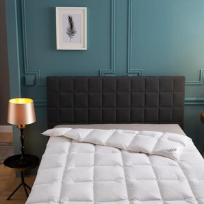 Daunenbettdecke OBB One&Only Bettdecken Gr. B/L: 155 cm x 220 cm, normal, weiß Allergiker Bettdecke in 135x200 cm und weiteren Größen, für Sommer oder Winter