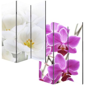 Foto-Paravent Paravent Raumteiler Trennwand M68 ~ 180x120cm, Orchidee