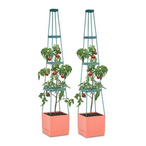 Tomato Tower Tomaten-Pflanzkübel 2er-Set 25x150x25cm Rankhilfe PP