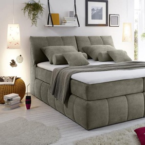 Boxspringbett Toledo 3 in schlamm, inklusive Topper, Liegefläche ca. 180 x 200 cm