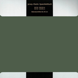 Spannbettlaken JANINE ELASTIC 5002/ Bettlaken B/L: 180-200 cm x 200 cm (1 St.), Jersey-Elasthan, 35 cm, grün Bettlaken Betttücher Laken mit Rundumgummizug