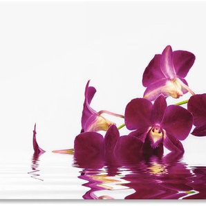 Küchenrückwand ARTLAND Phalaenopsis Orchidee Spritzschutzwände Gr. B/H: 140 cmx65 cm, lila Küchenaccessoires Spritzschutzwände Alu Spritzschutz mit Klebeband, einfache Montage