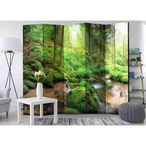 Leinwand Raumteiler mit Wald Motiv 225 cm breit