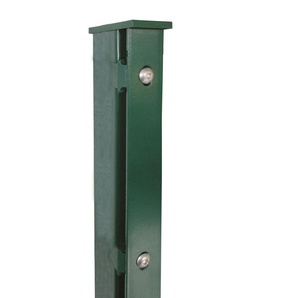 KRAUS Zaunpfosten Modell P mit Edelstahlplättchen Zaunpfosten 4x6x180 cm, für Höhe 123 cm grün Zaunpfosten
