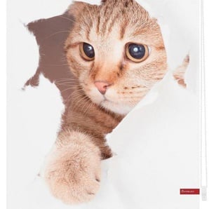 Seitenzugrollo »Klemmfix Digital Katze«, LICHTBLICK ORIGINAL, verdunkelnd, ohne Bohren, freihängend, Klemmfix, bedruckt