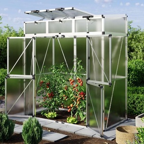 197 x 103 cm Tomatenhaus - (GFPV00882)