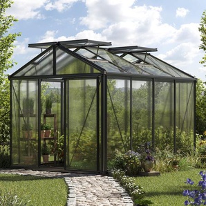 235 x 311 cm Gewächshaus, Pulverbeschichtet Anthrazit, RAL 7016 | Aktionsset - Profi 1 - (GFPV00183)