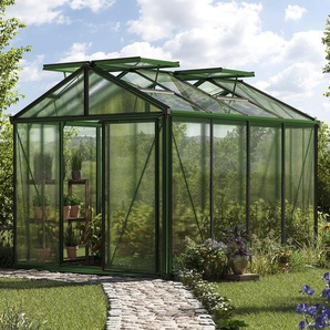235 x 311 cm Gewächshaus, Pulverbeschichtet Grün, RAL 6005 | Aktionsset - Profi 2 - (GFPV00187)