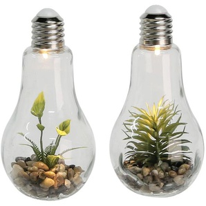 2er Set LED Deko Glühbirne 22 cm mit Kunstpflanze und Steine  Dekoration mit Licht