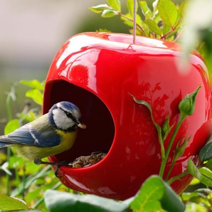 Vogelfutter-Abdeckung, Schutzblech für Vogelfutterstation,  Vogel-Regenschutz, schützt Kolibri-Futterspender, Kuppelabdeckung mit  Schirmförmiger