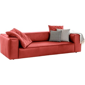 3-Sitzer W.SCHILLIG around-the-block Sofas Gr. B/H/T: 260 cm x 66 cm x 104 cm, Longlife Xtra-Leder Z69, orange (red z69) 3-Sitzer Sofas mit eleganter Biese, Federkern